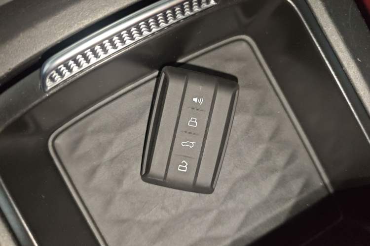 Used Tank 300 2024 2.0T Challenger