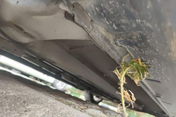 Used Hyundai Sonata 2014 2.0L Automatic Prestige Edition
