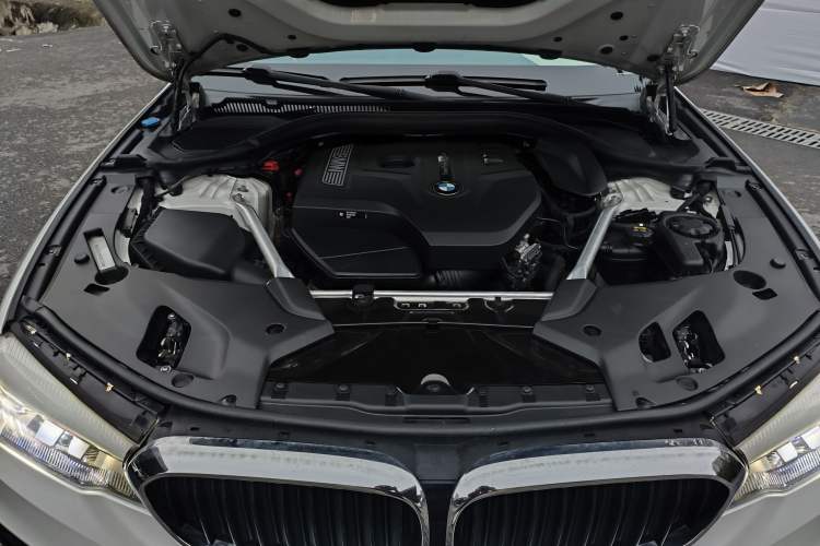 Used BMW 5 Series 2019 530Li Leading Model M Sport Package
