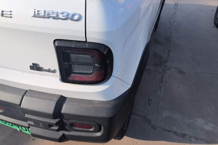 Used  Panda 2024 200km Panda Rider