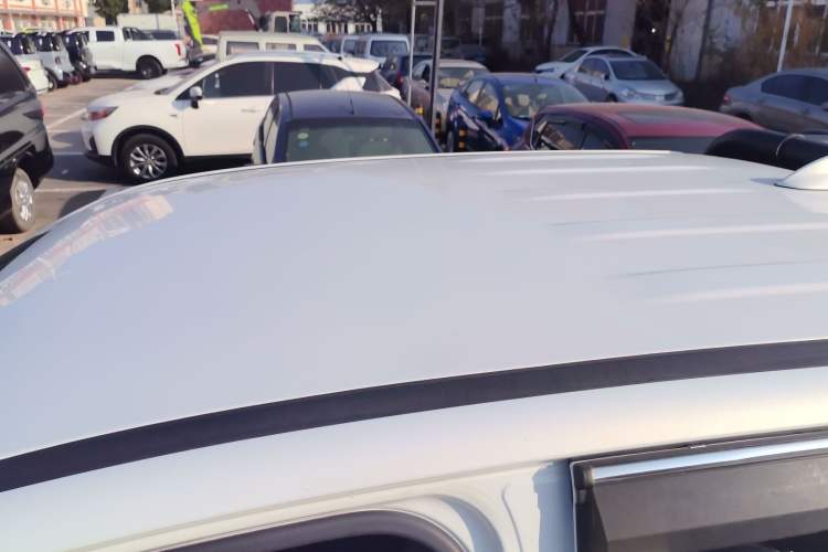 Used Great Wall Poer 2021 2.0T Commercial Version Manual Diesel Two-Wheel Drive Elite Long-Box GW4D20M
