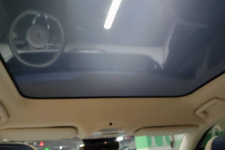 Used VOYAH FREE 2021 Four-Wheel Drive Standard Range-Extended Exclusive Luxury Package
