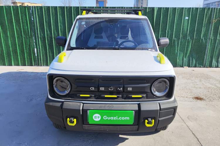 Used  Panda 2024 200km Panda Rider
