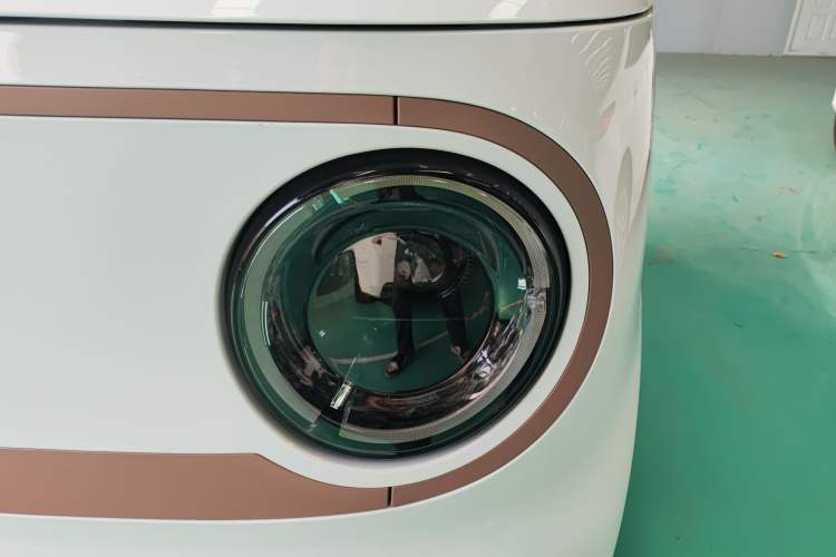 Used  Panda 2024 Panda Mini 200km Endurance Bear