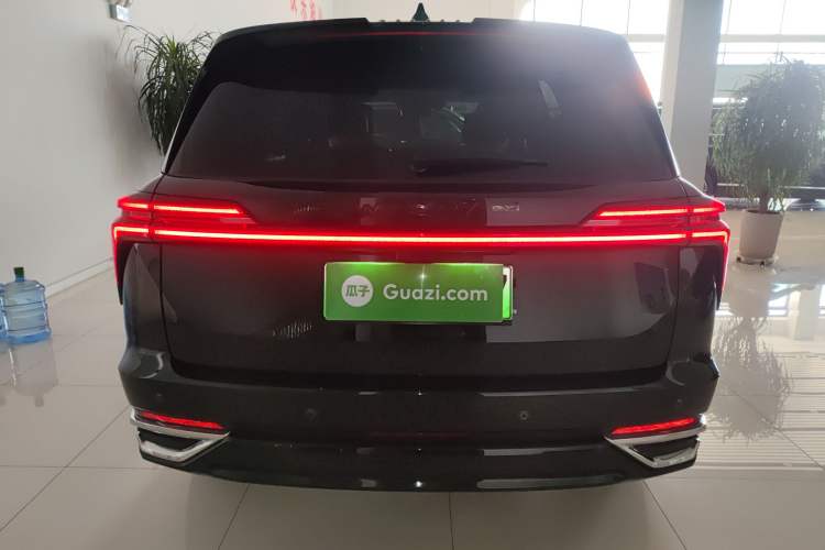 Used Wey Lanshan 2023 Four-Wheel Drive Ultra-Long Range Version
