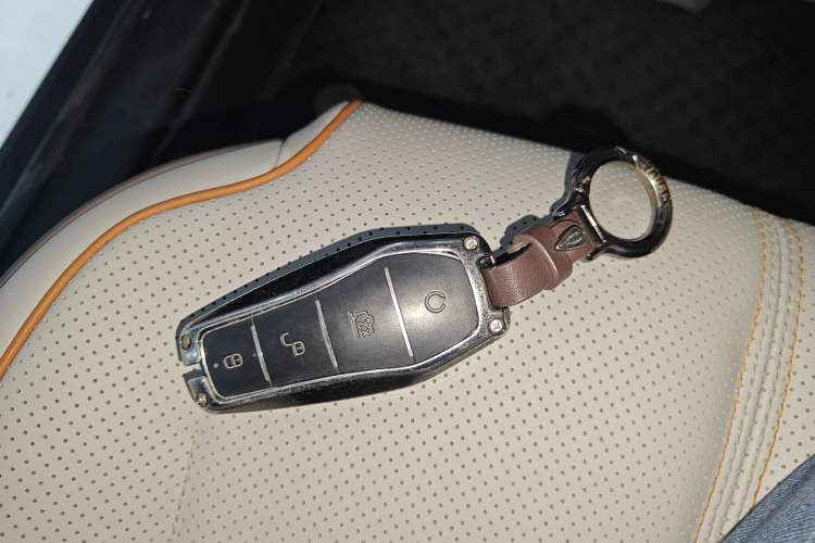 Used BYD Qin PLUS 2023 Champion Edition EV 420KM Leading Model