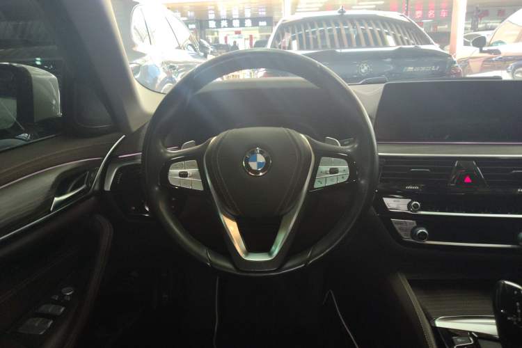 Used BMW 5 Series 2020 530Li Luxury Edition Premium Package