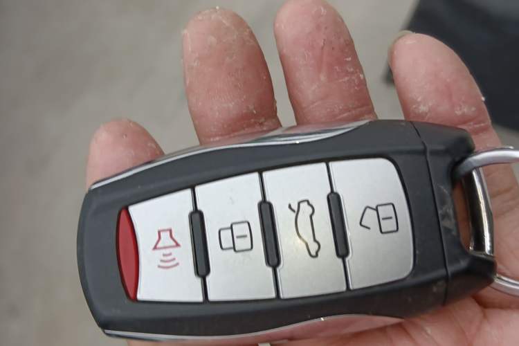 Used Haval H6 2019 Sport Edition 1.5T Automatic Two-Wheel Drive Elite Model China VI
