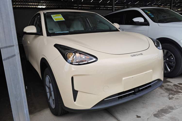 Used  Geome 2025 310km Youth Edition
