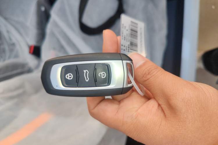 Used  Panda 2024 Panda Mini 200km Endurance Bear