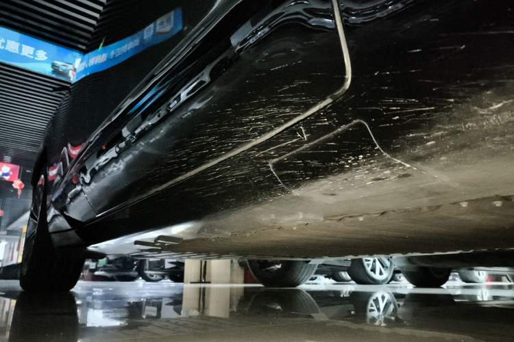 Used  07 2024 Max Extended-Range Edition
