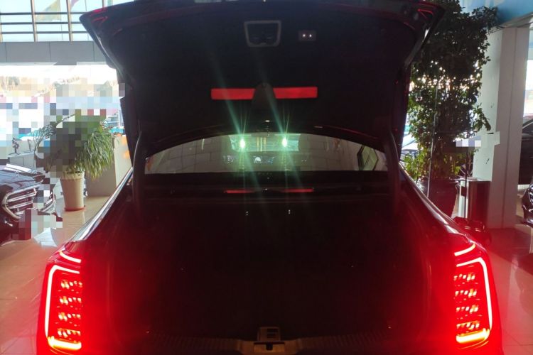 Used Hongqi H9 2024 2.0T Qichang Private Enjoyment Luxury Edition