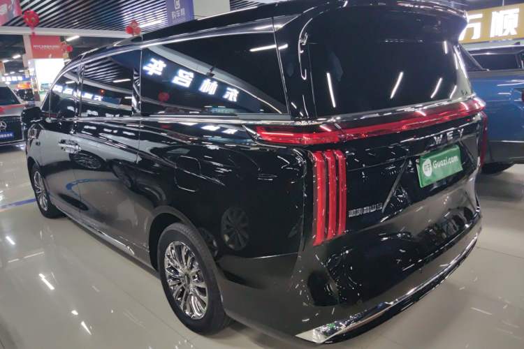 Used Wey Gaoshan 2025 Four-Wheel Drive Alpine 9
