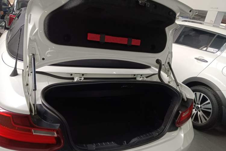 Used BMW 2 Series 2015 218i Convertible Coupe
