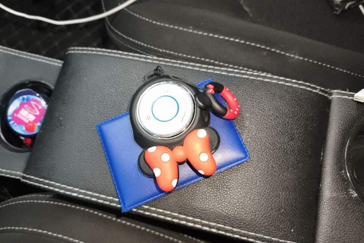 Used NETA V 2021 Standard Range Entertainment Version – Upgraded Model