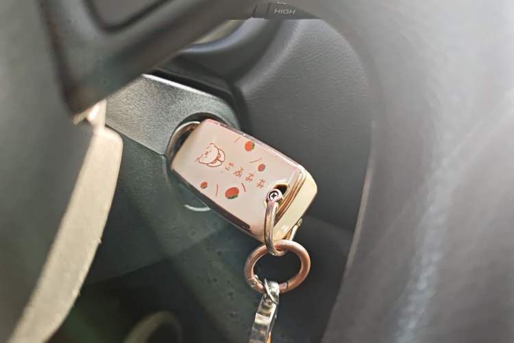 Used  Renegade 2017 180T Automatic High-Energy Version
