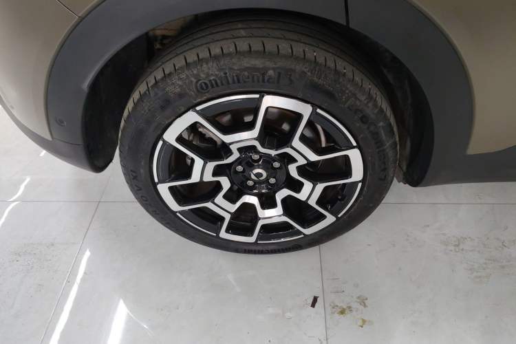 Used  #5 2024 Jungle Realm Limited Edition