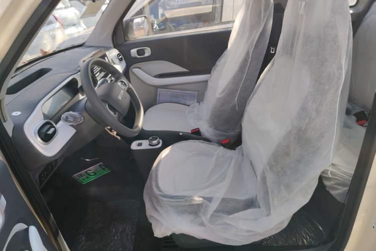 Used  Panda 2025 210 km – Yuanqi Bear
