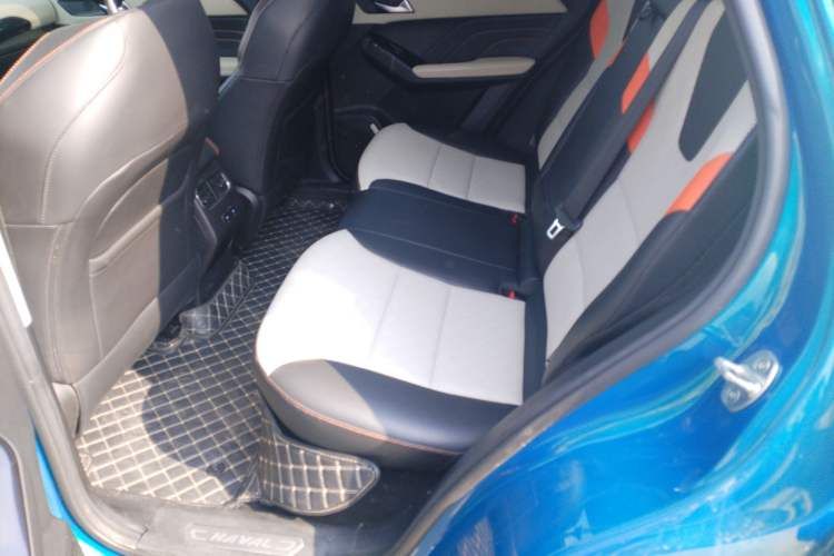 Used Haval LHERY 2021 High-Performance Version 1.5T Golden Rabbit