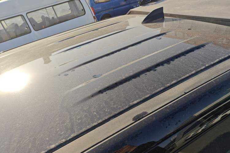 Used Great Wall Poer 2024 2.4T Commercial Version Automatic Diesel Two-Wheel Drive Elite Edition
