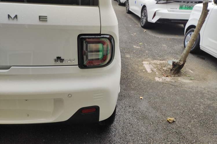 Used  Panda 2024 Panda Mini 200km Endurance Bear
