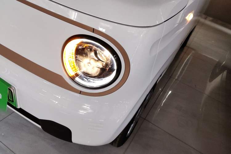 Used  Panda 2024 Panda Mini 200km Endurance Bear
