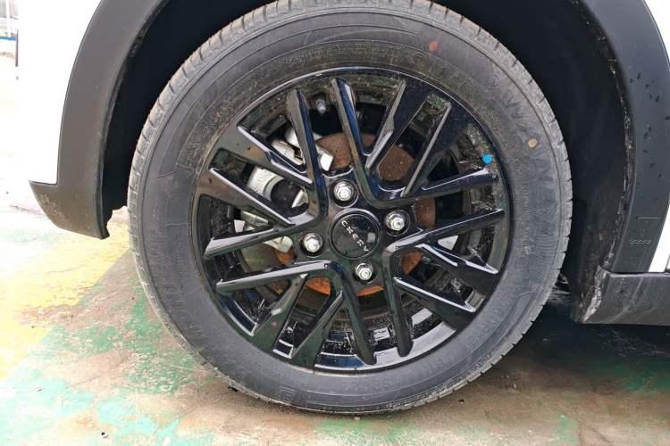 Used Chery Little Ant 2024 251km True Love Edition