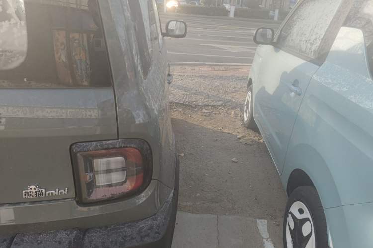 Used  Panda 2025 210km Panda Rider