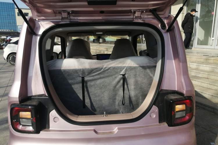 Used  Panda 2024 Panda Mini 200km Endurance Bear