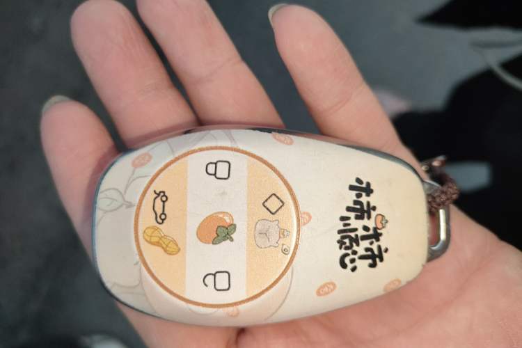 Used Leapmotor T03 2025 310 Comfort Edition
