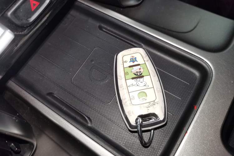 Used Haval DARGO 2024 2.0T DCT Chinese Rural Dog Edition