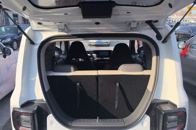 Used  Panda 2024 200km Panda Rider