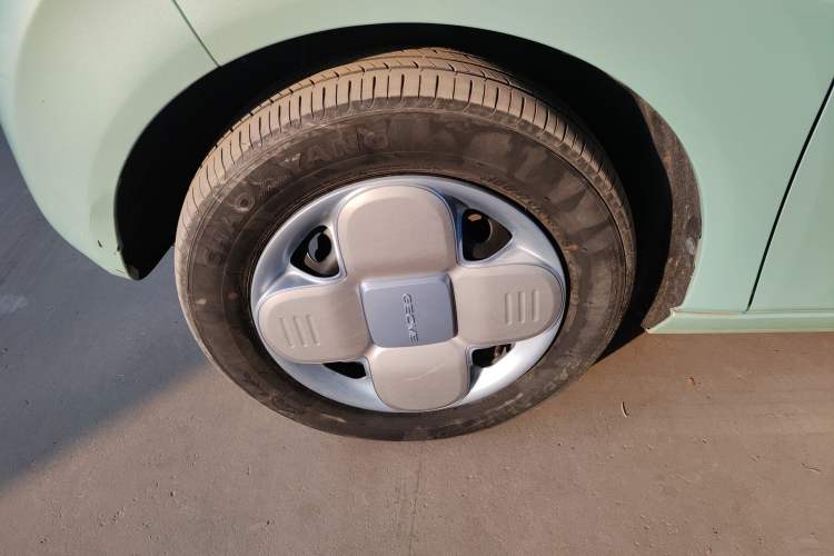 Used  Panda 2023 Panda Mini 200km Endurance Bear
