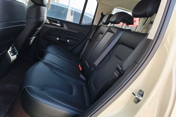 Used Tank 300 New Energy 2024 Hi4-T
