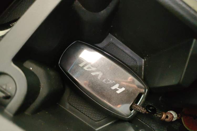 Used Haval DARGO 2024 2.0T DCT Chinese Rural Dog Edition