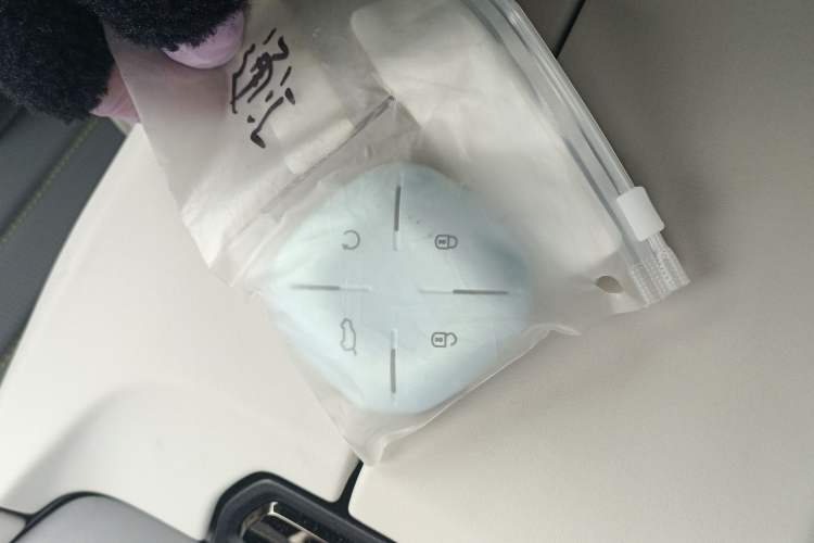 Used JETOUR Shanhai Shanhai L6 2024 1.5TD DHT MAX
