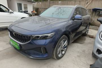 Used VOYAH FREE 2021 Four-Wheel Drive Standard All-Electric Exclusive Luxury Package