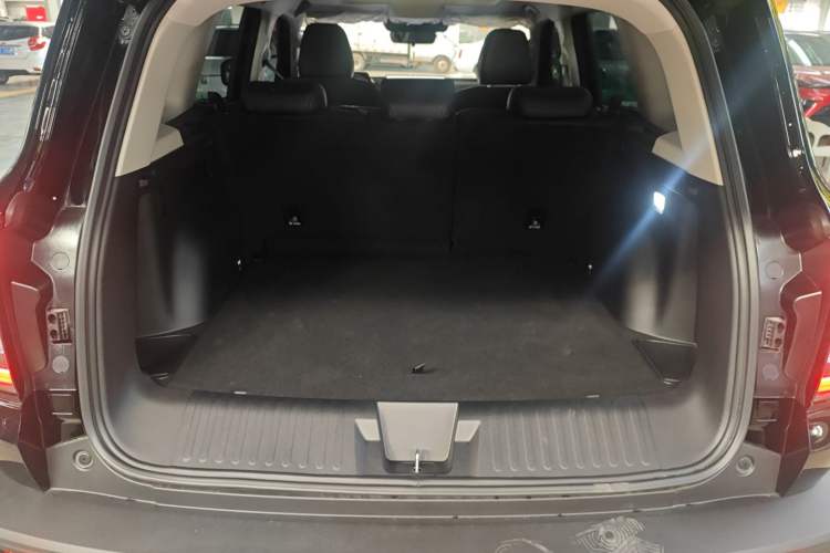 Used Haval DARGO 2026 Model 2.0T DCT Chinese Rural Dog Edition
