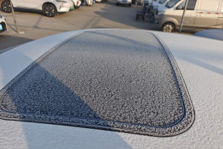 Used Ford Focus 2015 Sedan 1.6L Automatic Trend Model