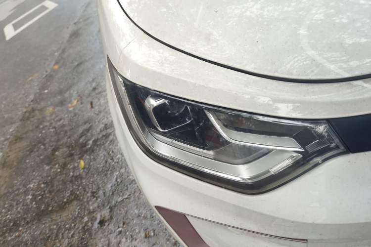 Used SOL E10X 2022 Flower Fairy Design Four-Leaf Clover
