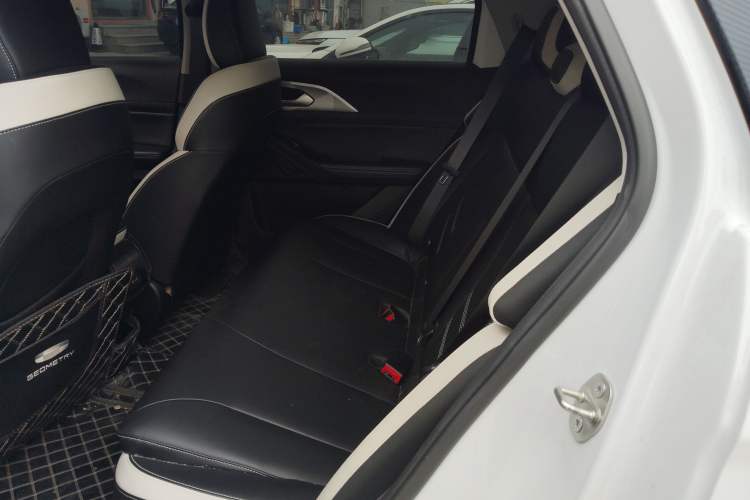 Used Geometry E Firefly 2023 401KM Linglong Tiger 5-Seater
