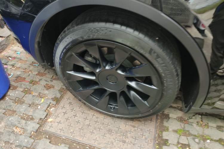 Used Tesla Model Y 2021 Standard Range Rear-Wheel Drive Version
