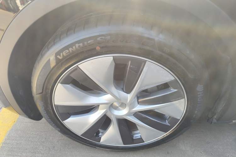 Used Tesla Model Y 2021 Standard Range Rear-Wheel Drive Version
