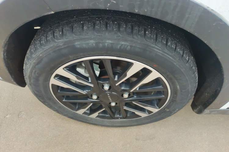 Used Chery Little Ant 2023 251km True Love Edition Lithium Iron Phosphate