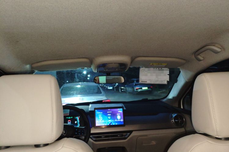 Used BYD Yuan Pro 2021 "Love for a Lifetime" Edition
