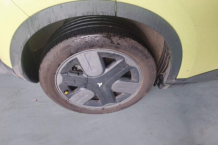 Used firefly firefly 2025 Illuminated Edition
