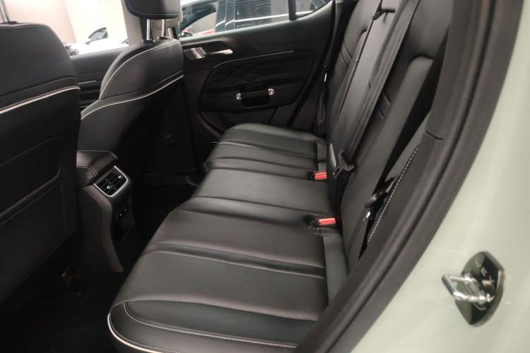 Used Tank 300 2021 City Edition 2.0T Essential Model