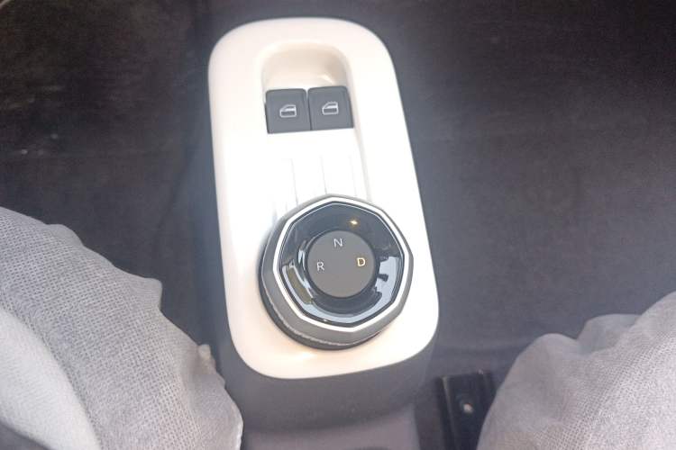 Used  Panda 2025 210 km – Yuanqi Bear
