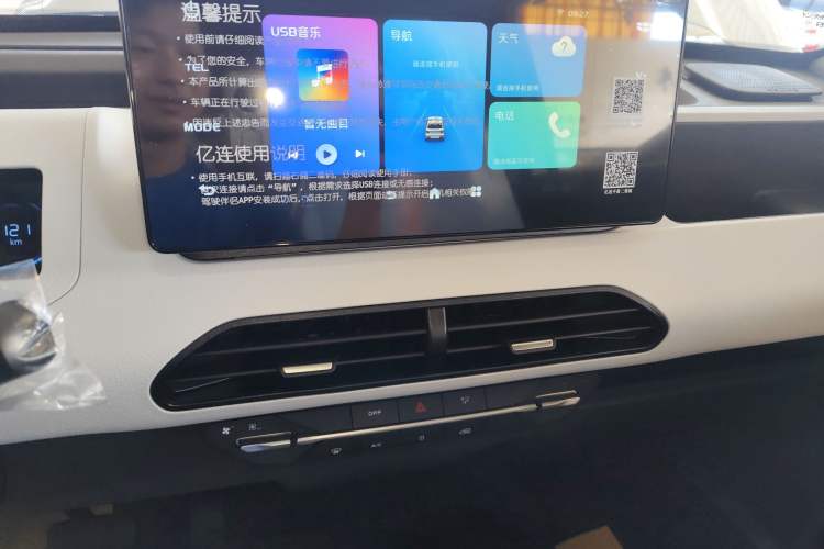 Used  Panda 2024 Panda Mini 200km Endurance Bear
