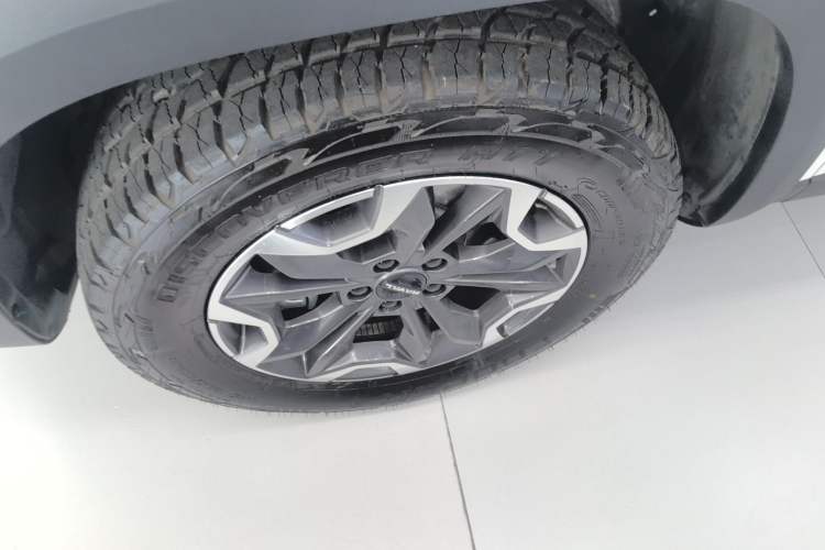 Used Haval DARGO 2024 2.0T DCT Chinese Rural Dog Edition
